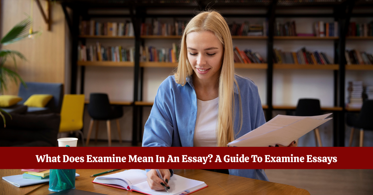 What Does Examine Mean In An Essay? A Guide To Examine Essays